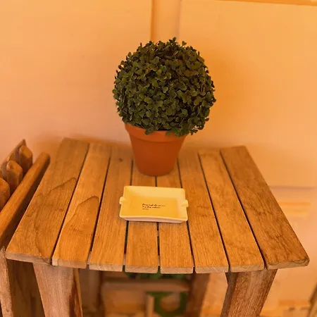 Apartment 3 Pieces Avec Terrasse - 150m Du Palais Sur Le Rocher Monte Carlo