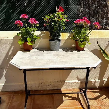 3 Pieces Avec Terrasse - 150m Du Palais Sur Le Rocher *